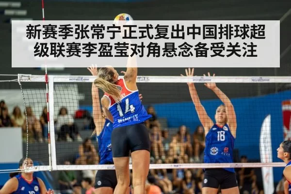 volleyball match action