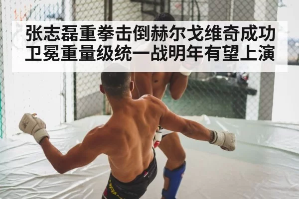 张志磊重拳击倒赫尔戈维奇成功卫冕重量级统一战明年有望上演