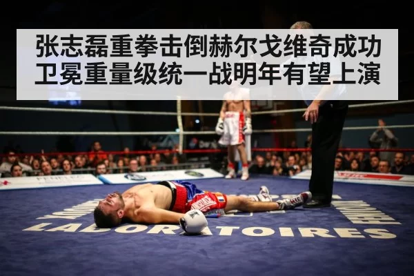 boxer knockout