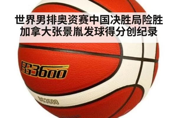 世界男排奥资赛中国决胜局险胜加拿大张景胤发球得分创纪录